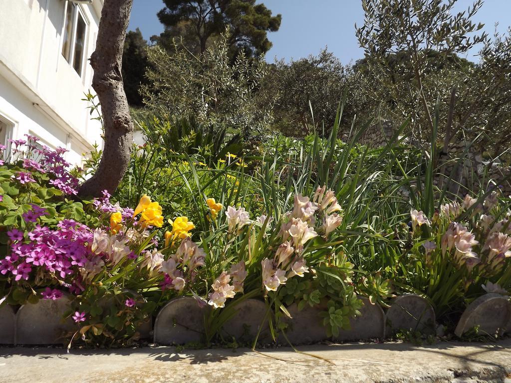 Guest House Vuljan Đảo Hvar Ngoại thất bức ảnh